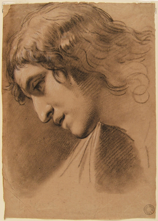 Gandolfi Gaetano-Studio di testa virile di profilo